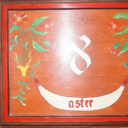 Apartment Aster